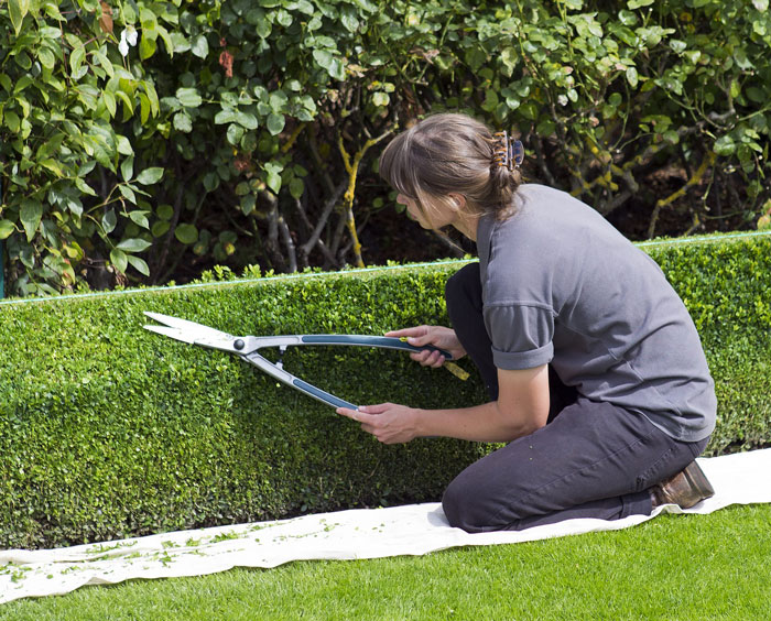 Gartenpflege Spezialisierter Fachbetrieb für Garten- und Landschaftsbau