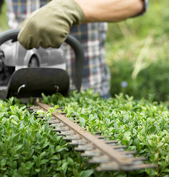 Gartenpflege Spezialisierter Fachbetrieb für Garten- und Landschaftsbau