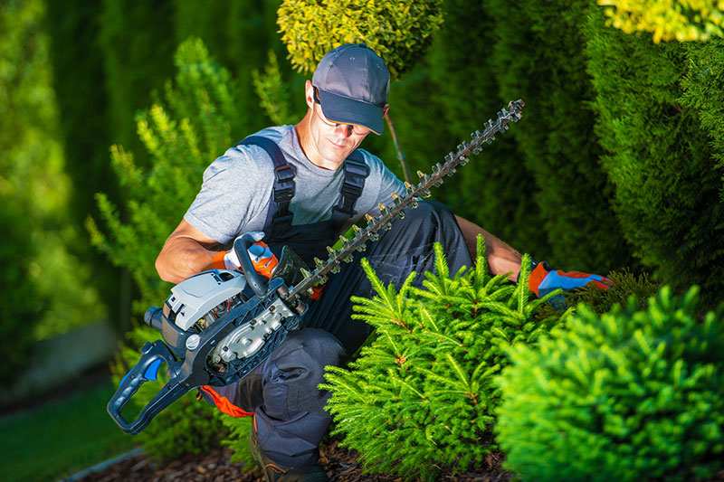 Karriere Jobs Spezialisierter Fachbetrieb für Garten- und Landschaftsbau